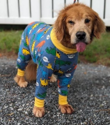 dog-sticking-it's-tongue-out-dressed-in-dinosaur-pajamas