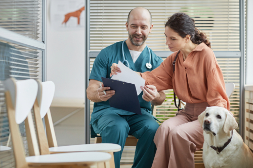 male vet talking with female dog owner at clinic with her yellow labrador retriever dog sitting next to her feet